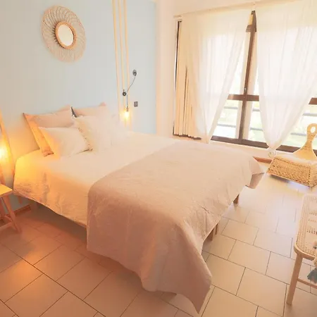 公寓 Ninho Gaivotas 阿尔布费拉