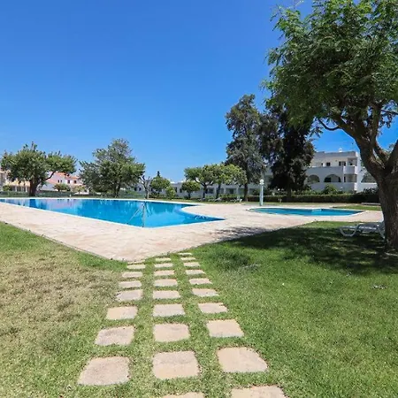 Ninho Gaivotas 阿尔布费拉