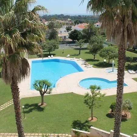 Ninho Gaivotas * 阿尔布费拉